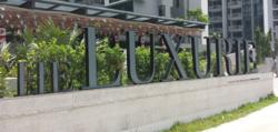 The Luxurie (D19), Condominium #83767952